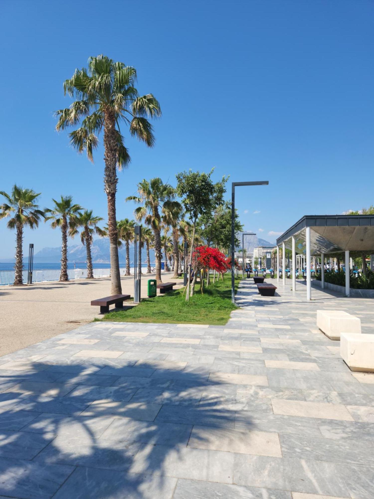 Kuk Daire Antalya